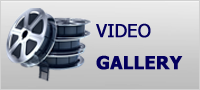 Video-Archive